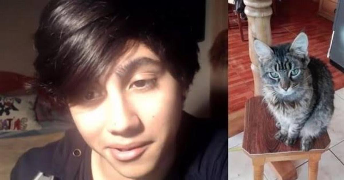 Peluchin Entertainment pague por el asesinato de este gato