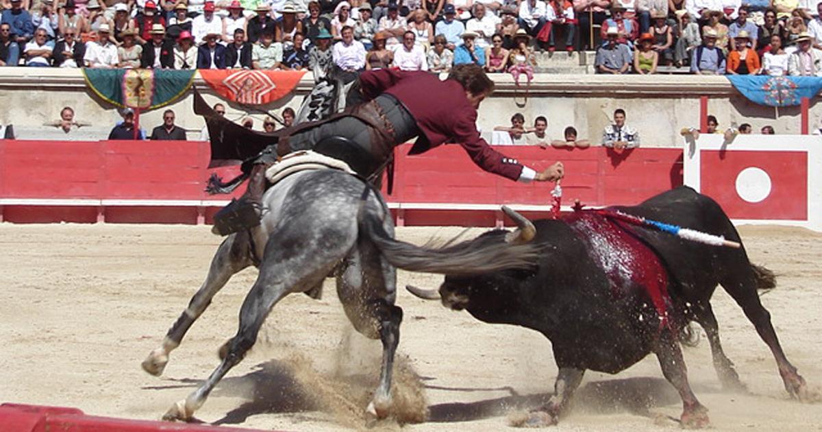 Eliminar las corridas de toros