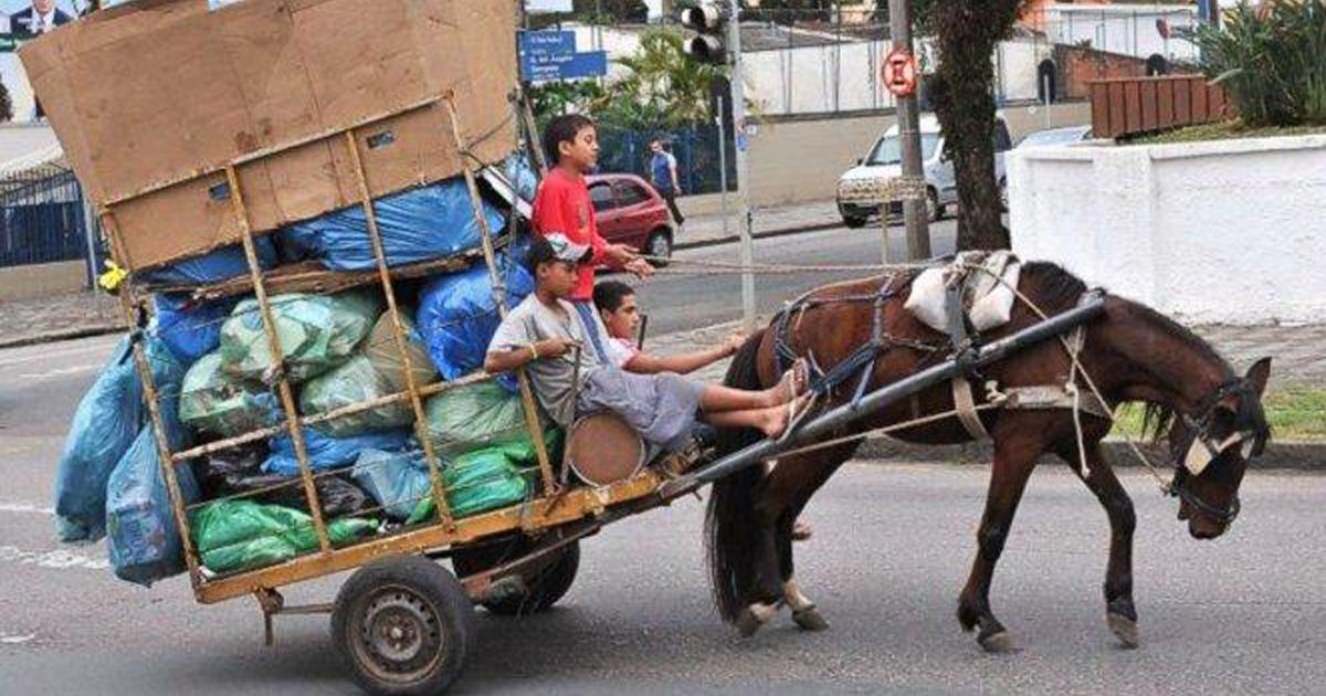 Basta de utilizar a los caballitos como objetos, basta de carreros y jineteadas