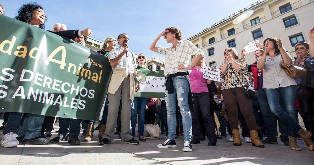 Basta ya! Defendamos la Concejalía de Protección Animal de Alicante!