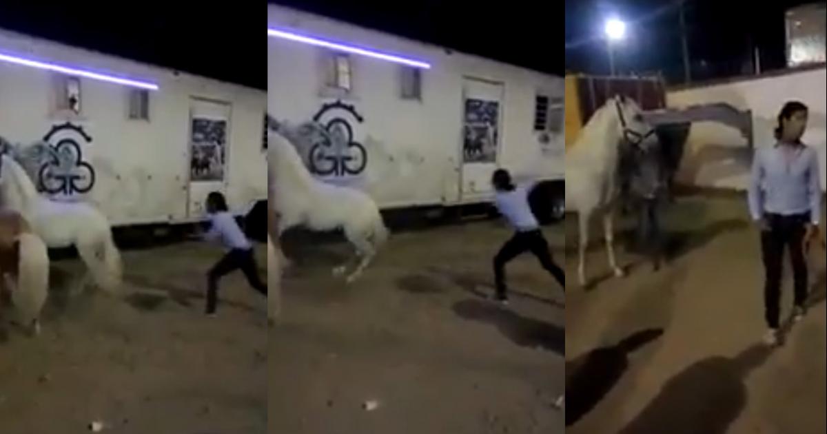 Que se le sancione y le prohíban a Emiliano Gamero acercarse a cualquier animal